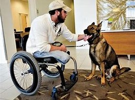 A Soldier and his Dog